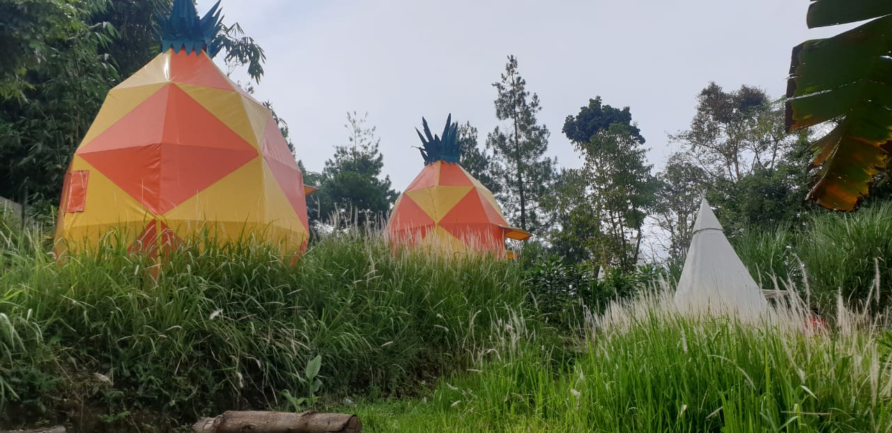 OYO 3040 D pineapple Villa 3/32