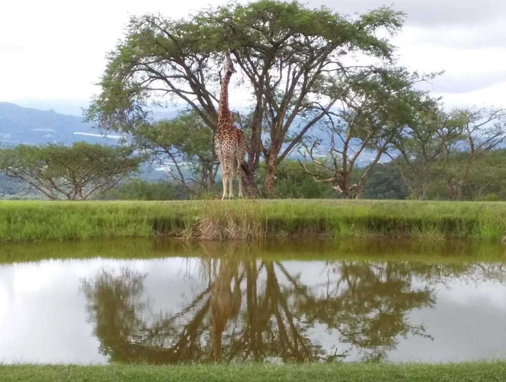 Likweti Lodge 38/45