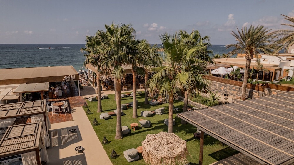 Enorme Ammos Beach 41/55