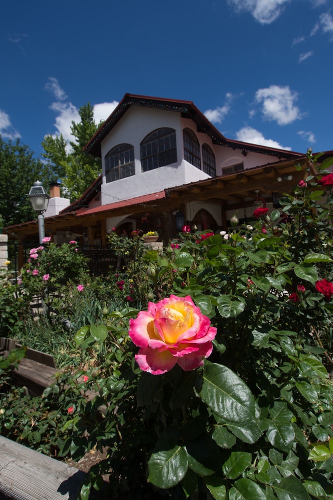 Red Horse Vineyard Bed & Breakfast 6/66