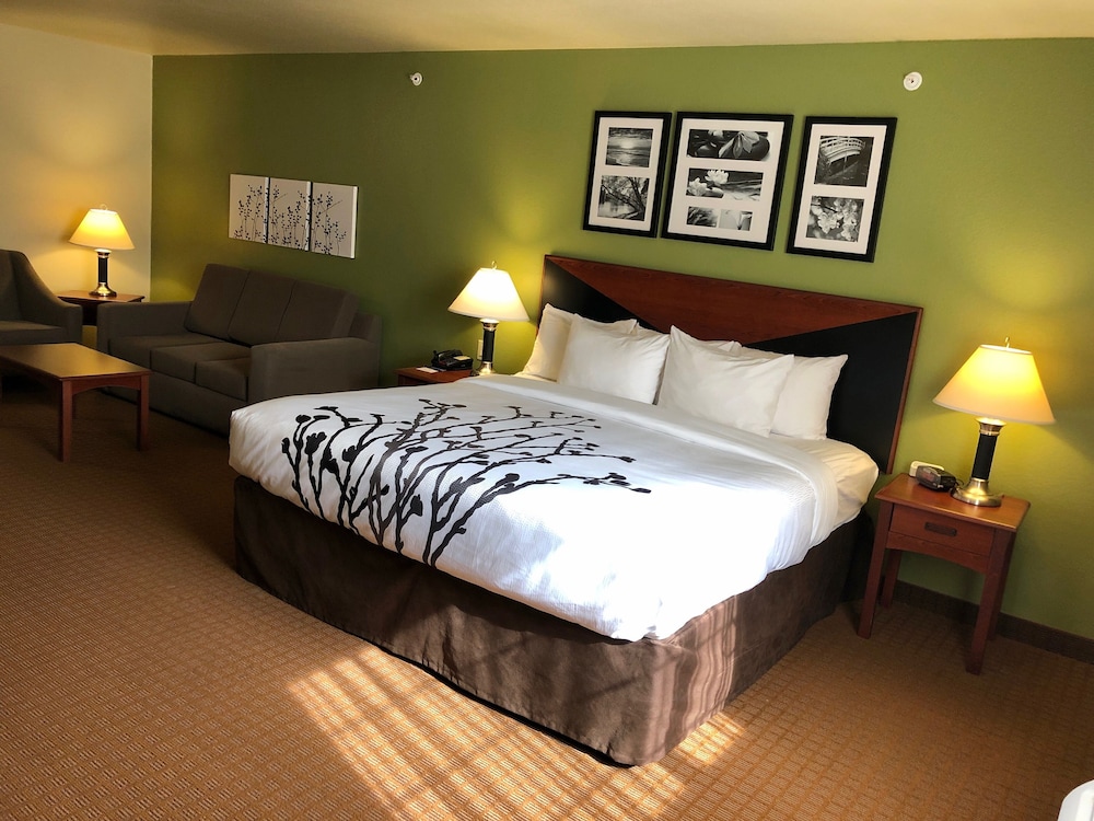 Sleep Inn And Suites Shamrock 12/39