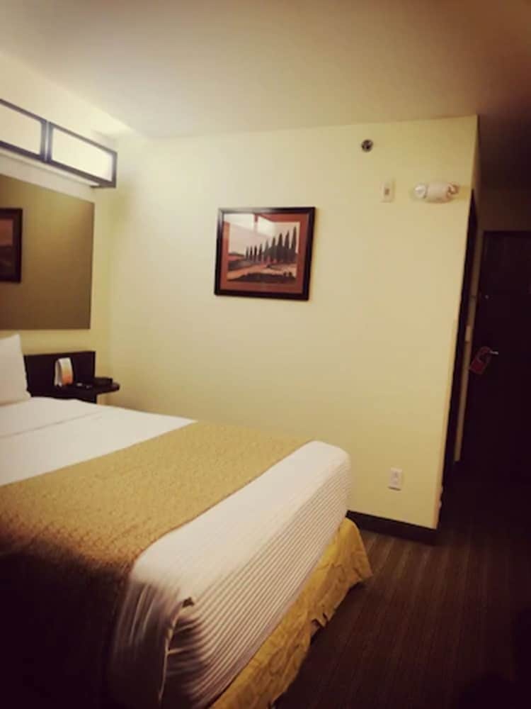 Microtel Inn and Suites by Wyndham Toluca 18/41