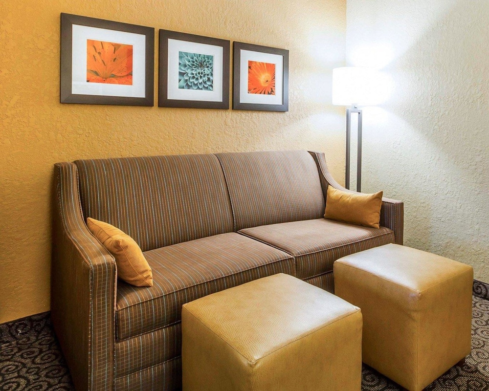 Comfort Suites Ramsey MN 21/31