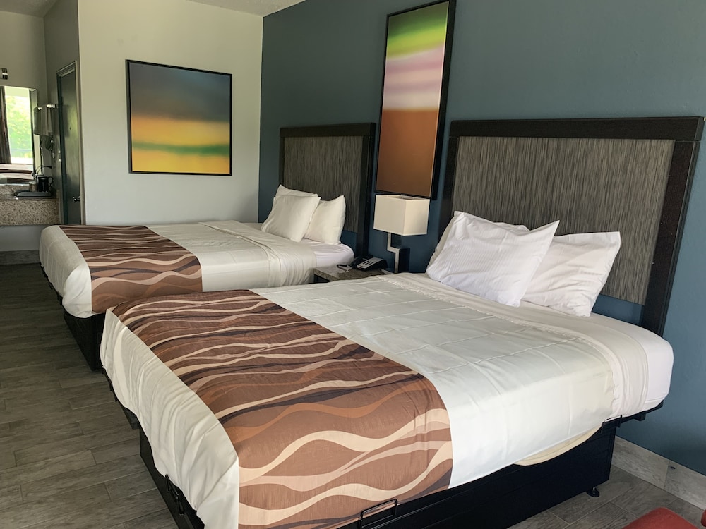 Best Western Magnolia 13/50