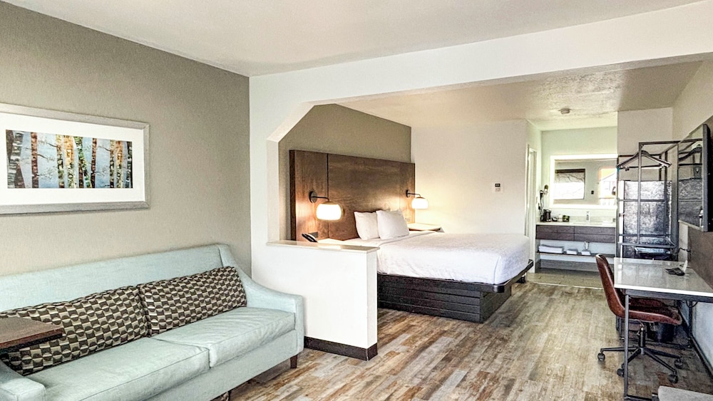 1 King Bed - Suite, Nsmk, Sofa Bed, Micfridge