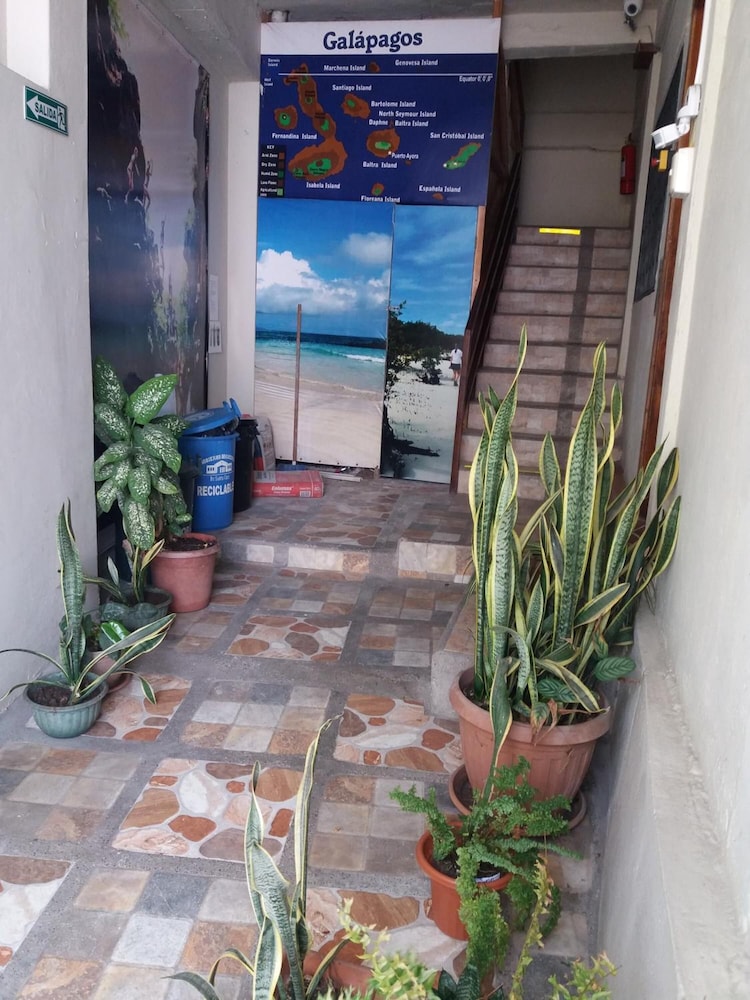 Miconia Hostal 6/49