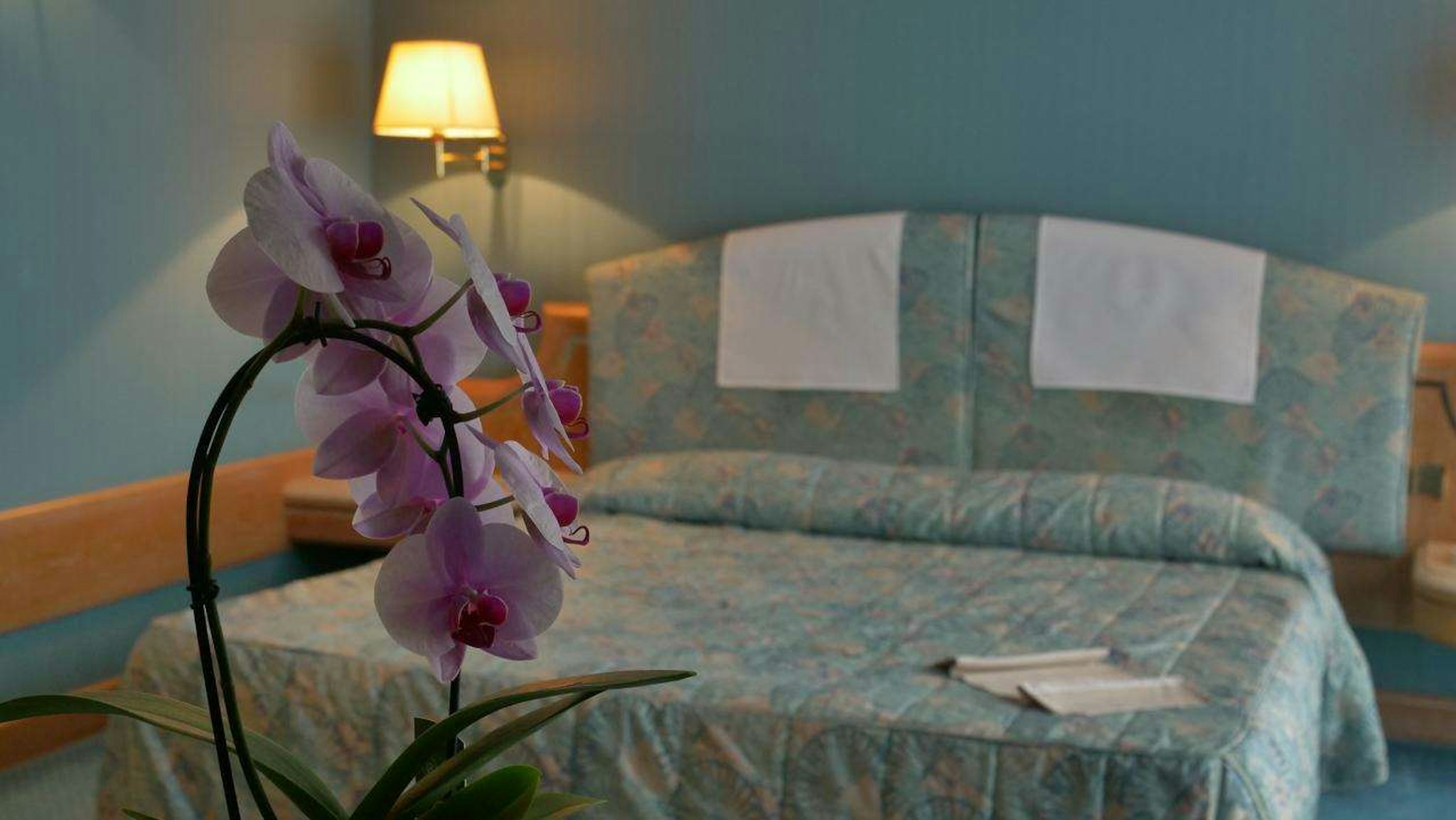 Hotel 501 14/46