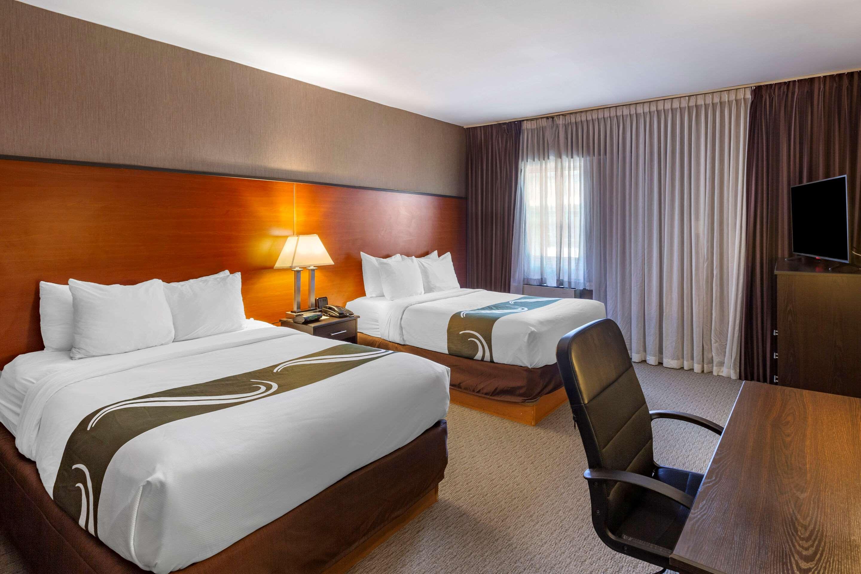 Suite, King Bed