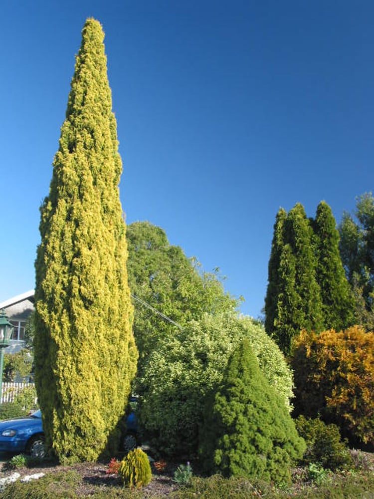 Aalton汽车旅馆(Aalton Motel) 图片4