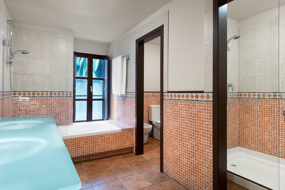 Hotel Palacio Del Carmen Autograph Collection 12/74