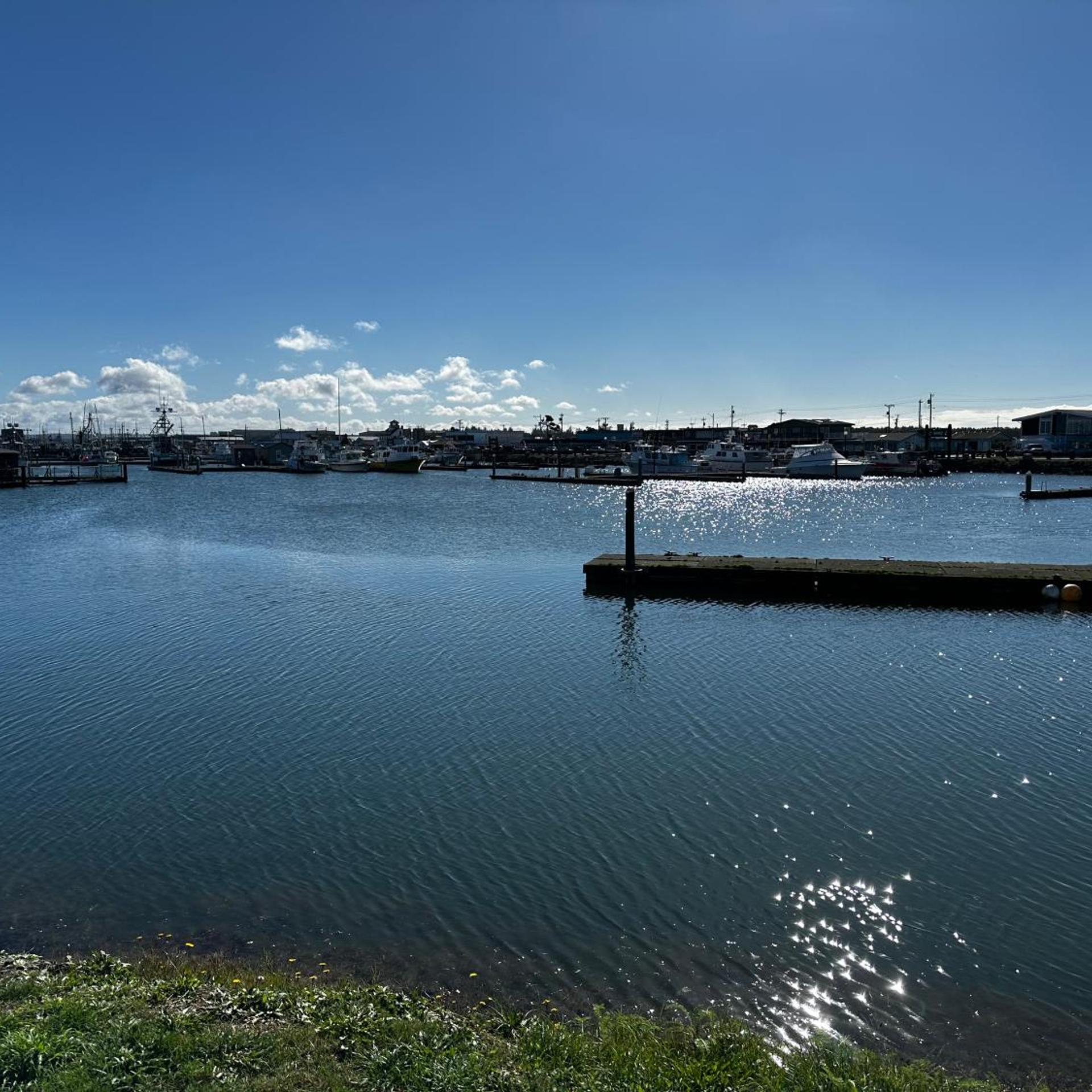 Westport Marina Cottages 37/50
