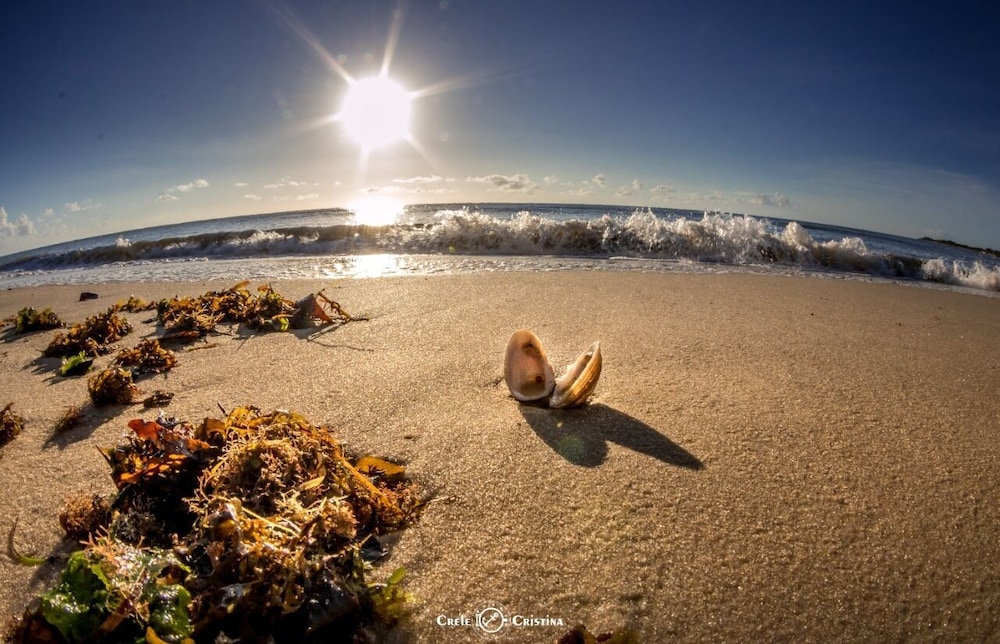Pousada Beach Bahia 49/60
