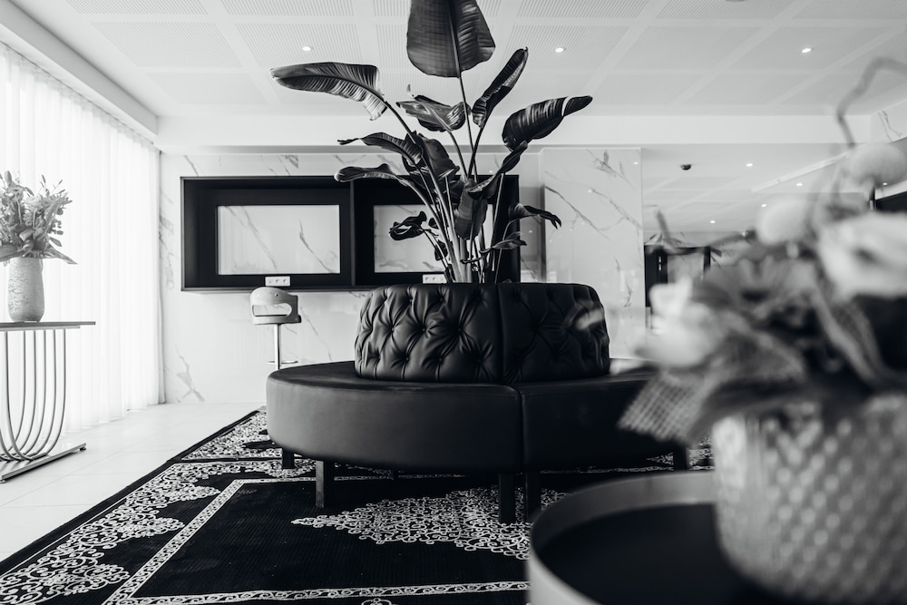 Hotel Barracuda & Spa, Port Center, beachfront, sea view 37/50
