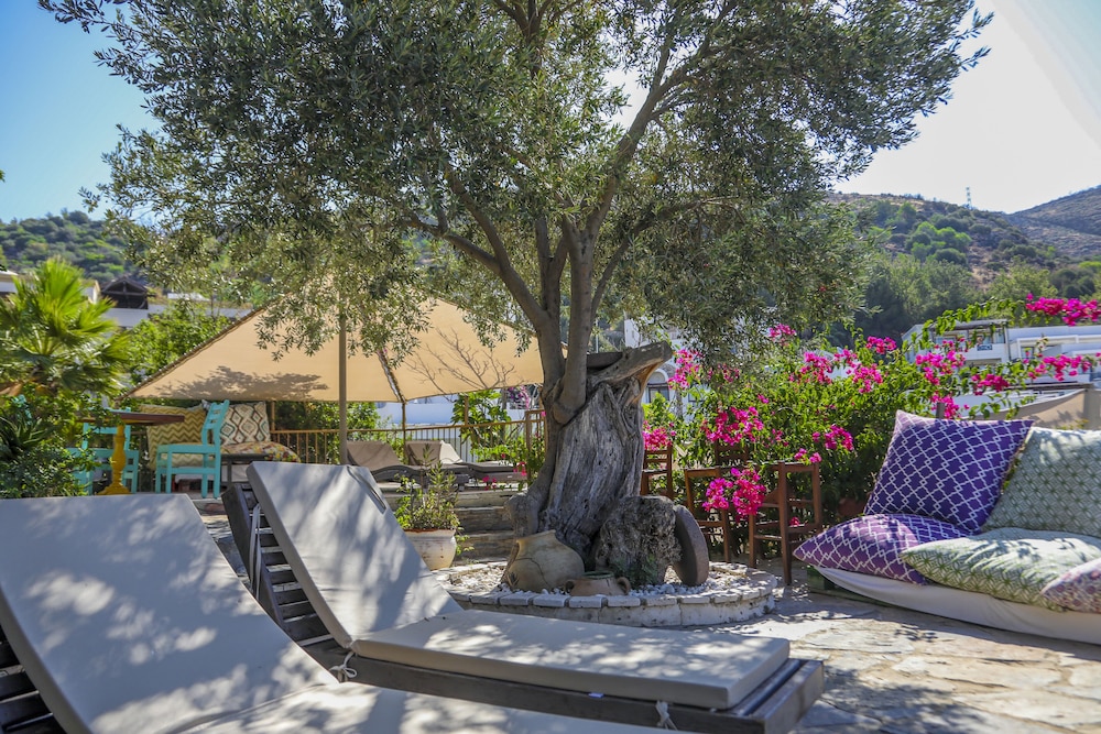 The Aegean Gate Hotel 45/49