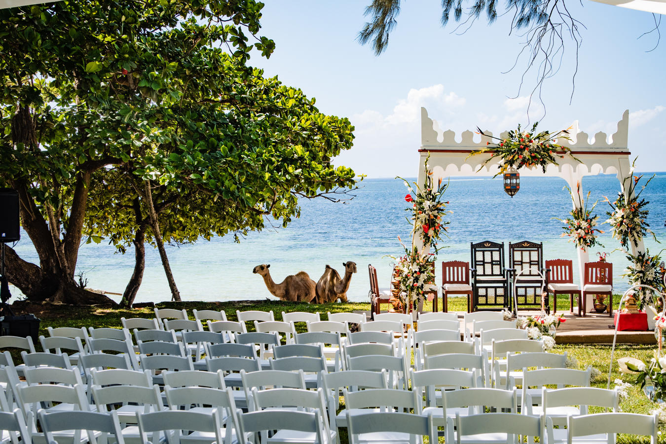 Serena Beach Hotel and Spa 35/41