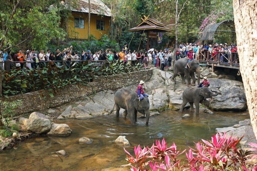 Chada Mantra Hotel Chiang Mai 34/42