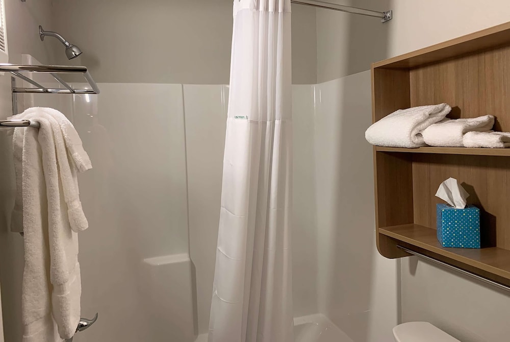 Microtel Inn & Suites by Wyndham Woodland Park 12/33