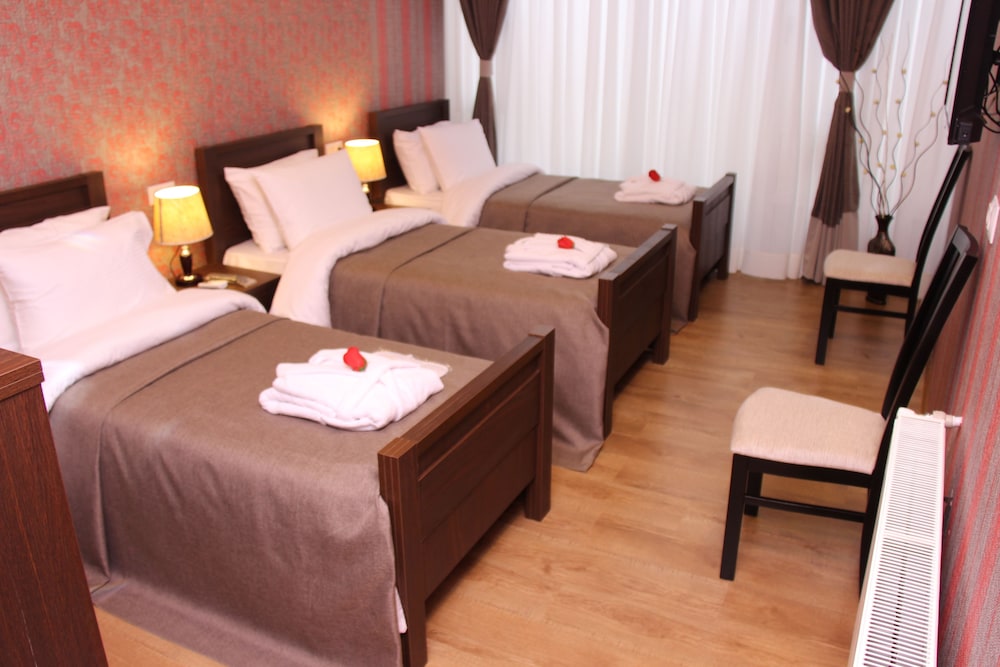 Hotel Monopoli Kutaisi 10/50