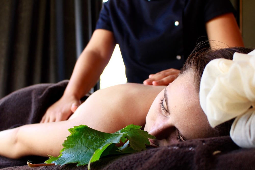 LE DOMAINE DES PRES VERTS SPA 12/50
