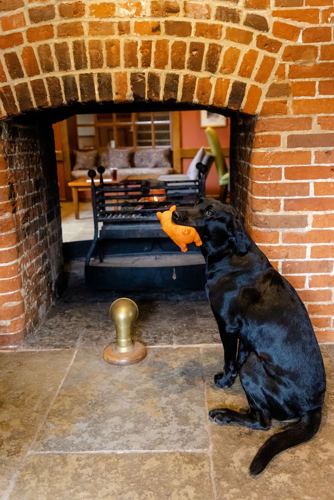 The Bell Inn New Forest 38/58
