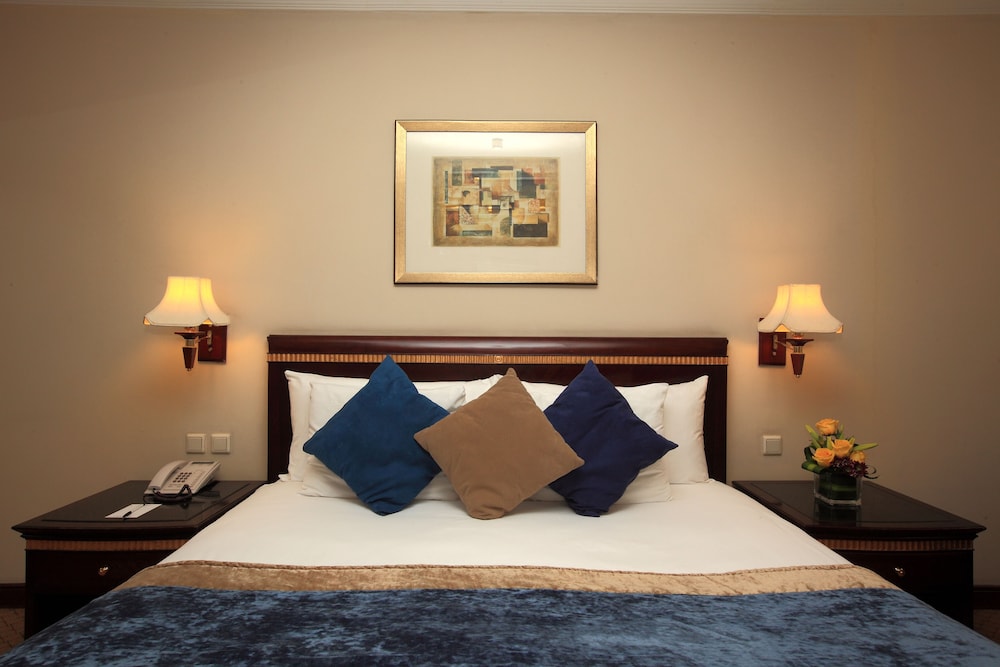 فندق مينا اندلسية(Mena Andalusia Hotel) 25/46