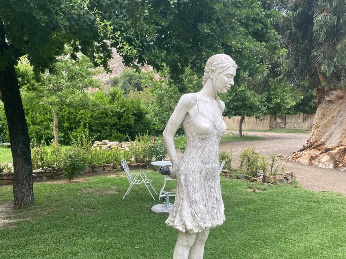 Weltevrede Fig Farm 5/13