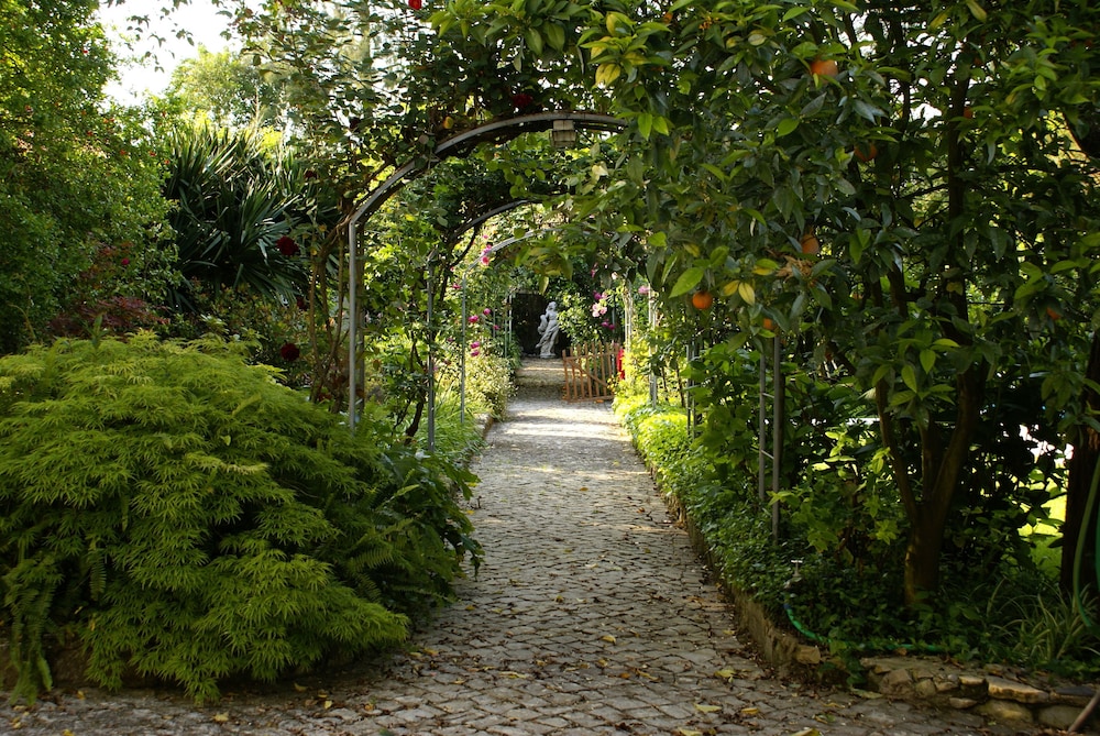 QUINTA DE SAO LOURENCO 28/54