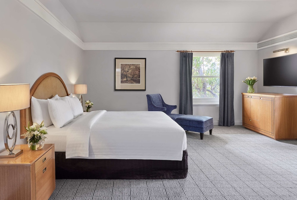Diplomat, Suite, King Bed