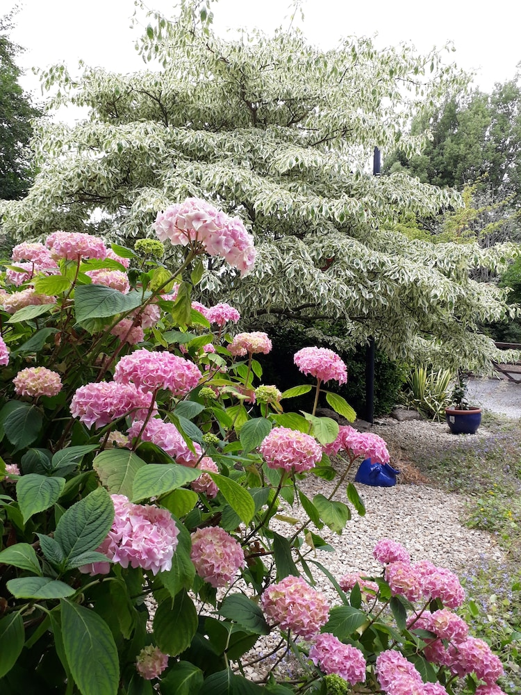Stoneleigh Barn Bed And Breakfast 18/25