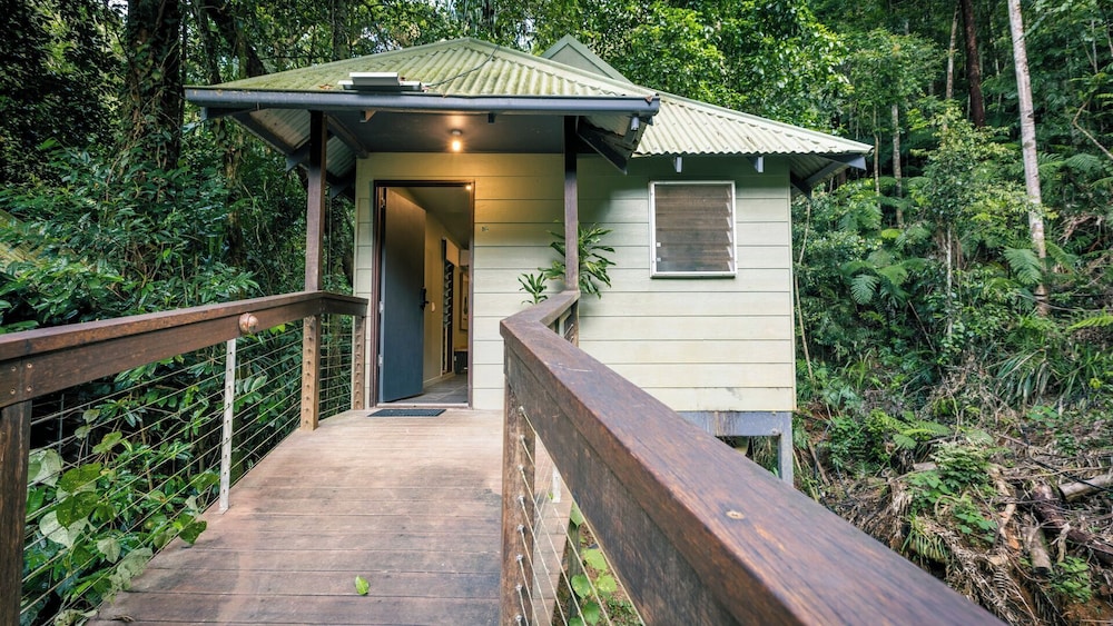 Daintree Ecolodge 7/50