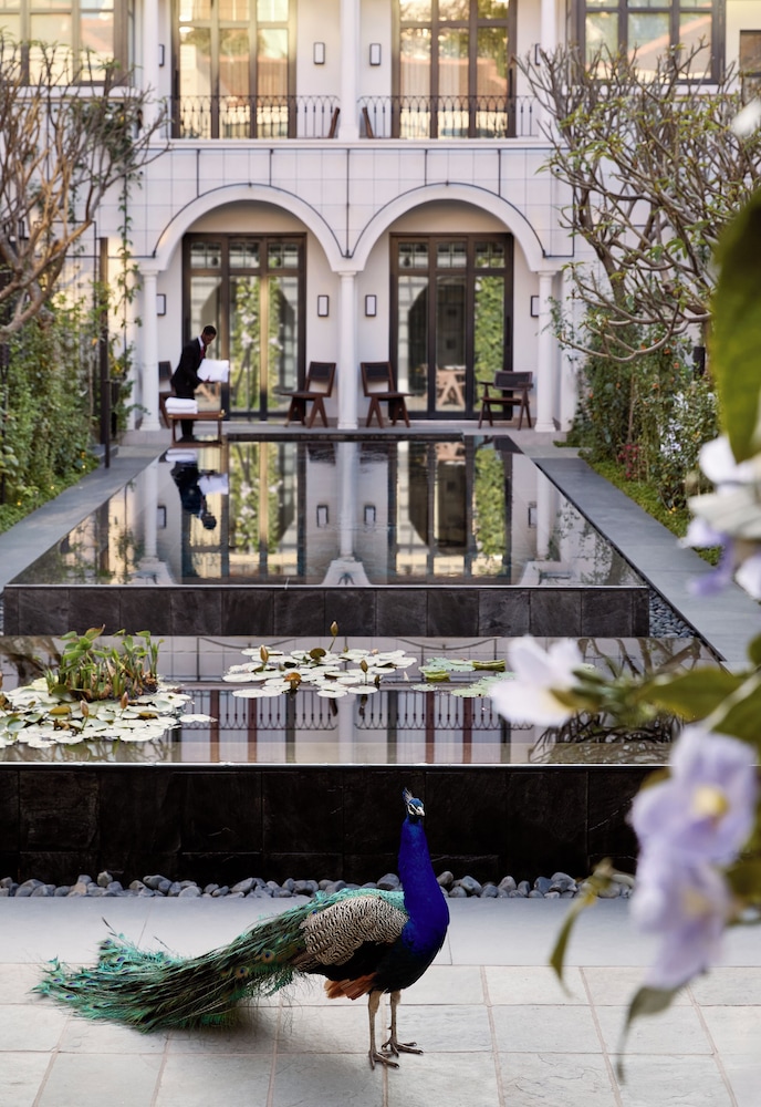 Park Hyatt Johannesburg 1/45