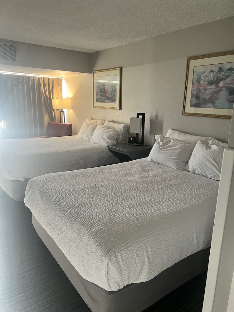 SUPERIOR, 2 QUEEN BEDS, MOUNTAIN VIEW