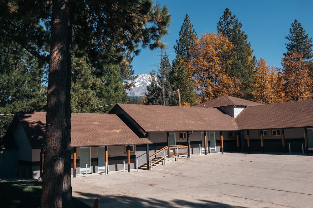 LOGE Mt. Shasta 31/43