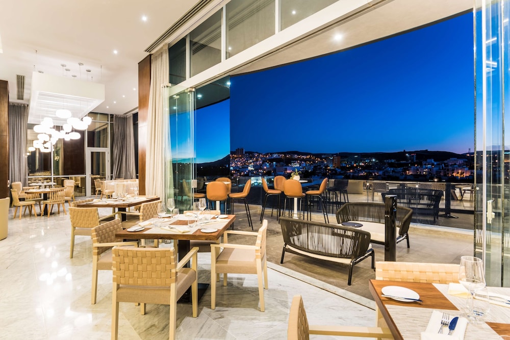 Hyatt Regency San Luis Potosi 53/74