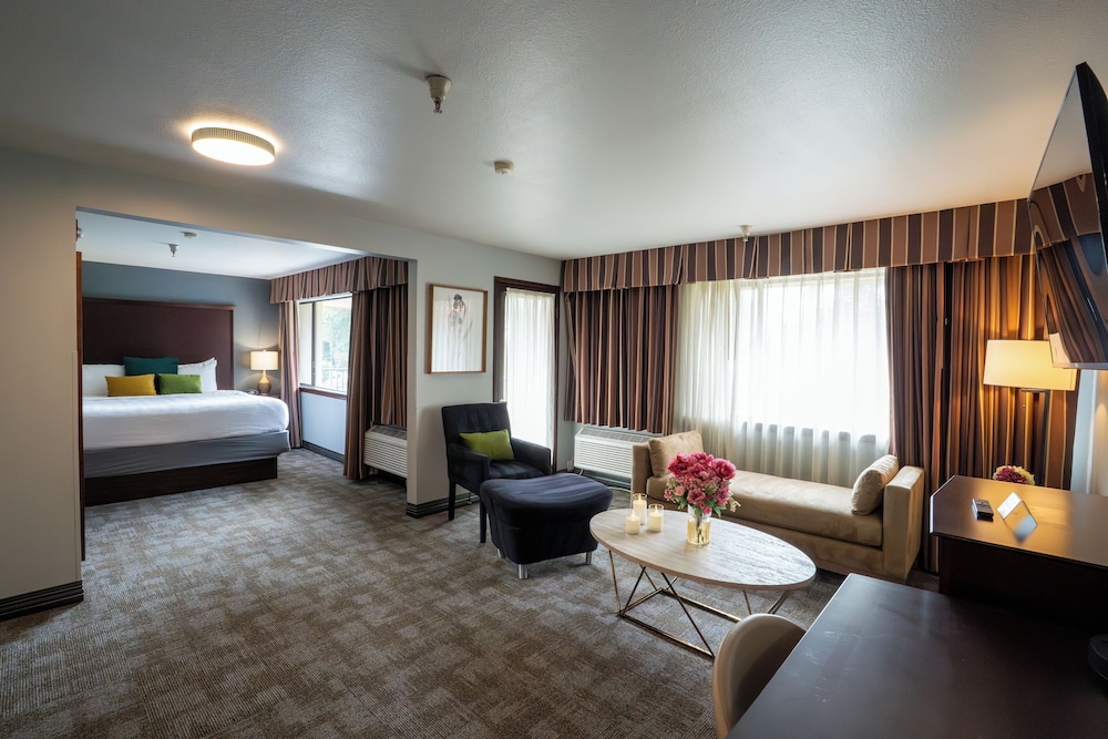 Studio, Suite, King Bed