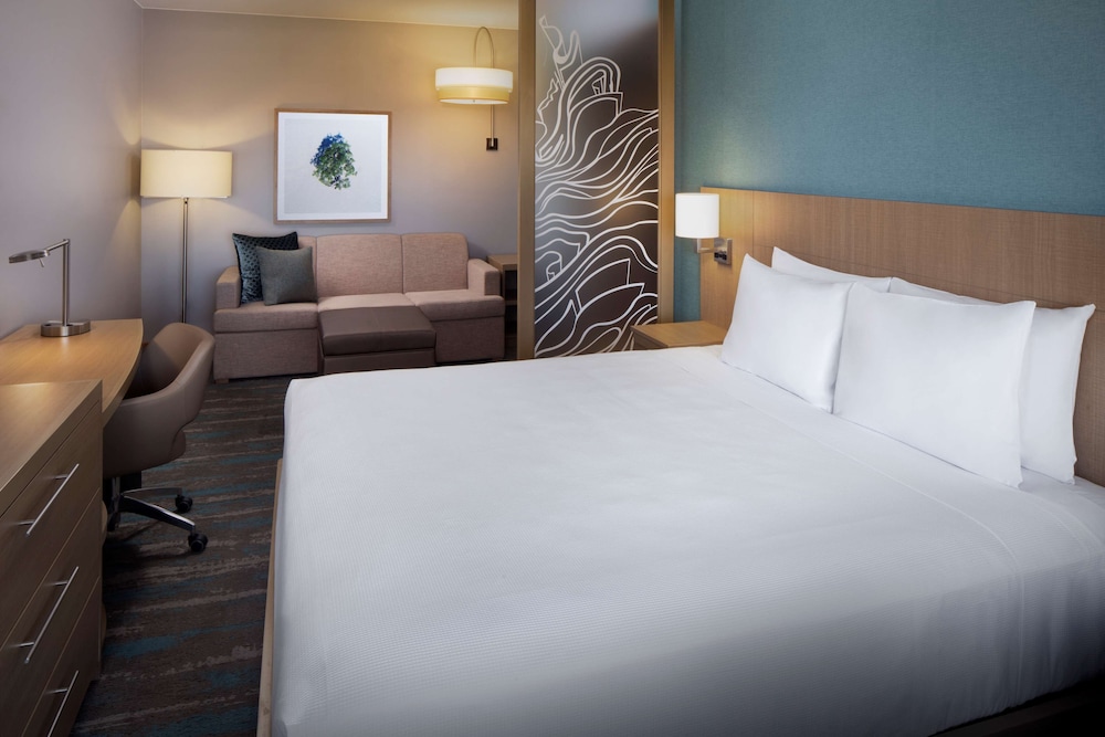 Room, King Bed