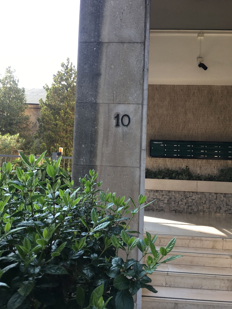 Simoni 10 30/30