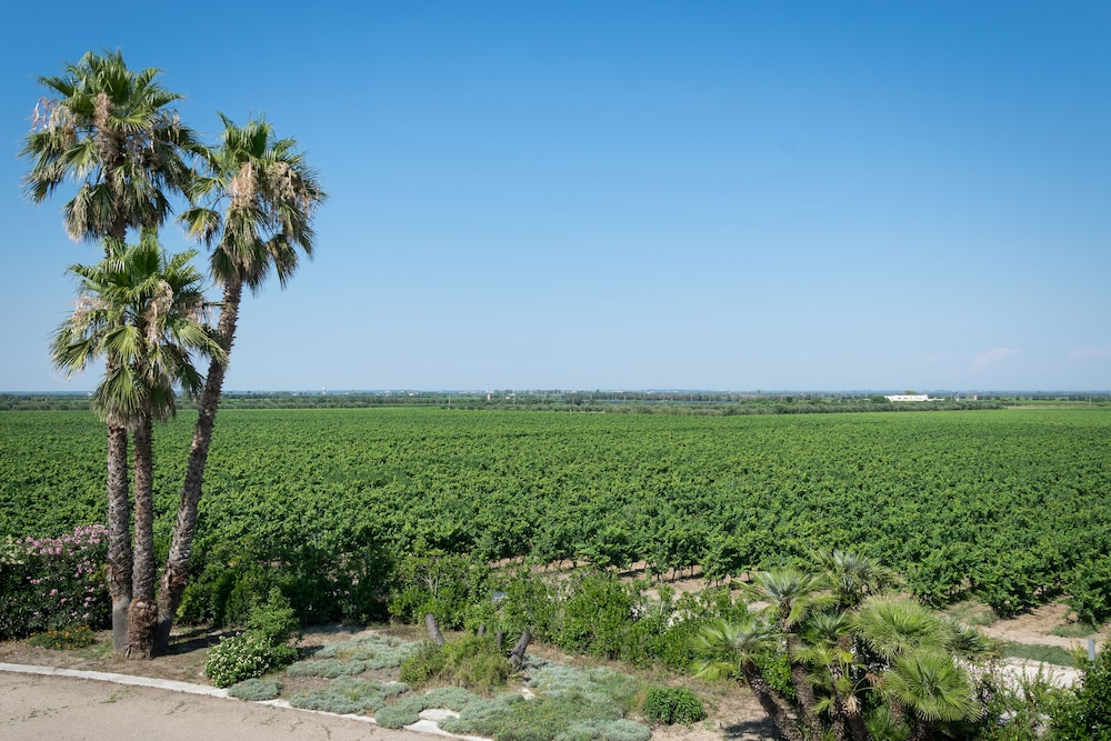 Masseria Mazzetta Salento 32/48