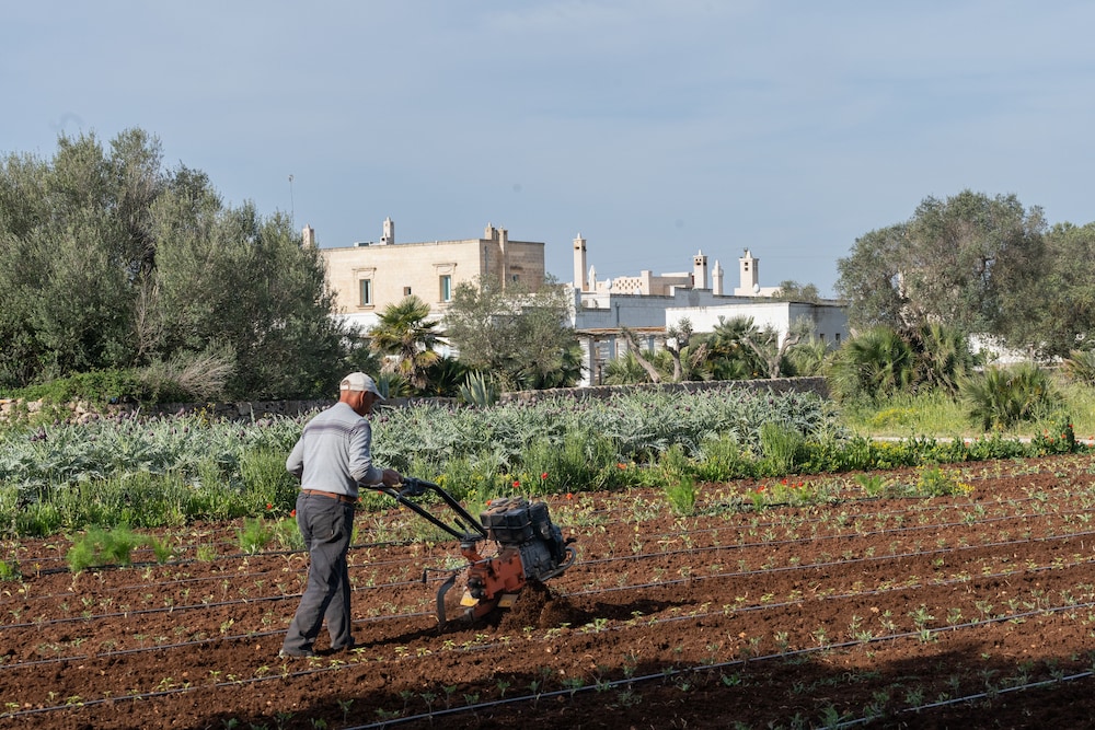 Masseria Palombara 45/77