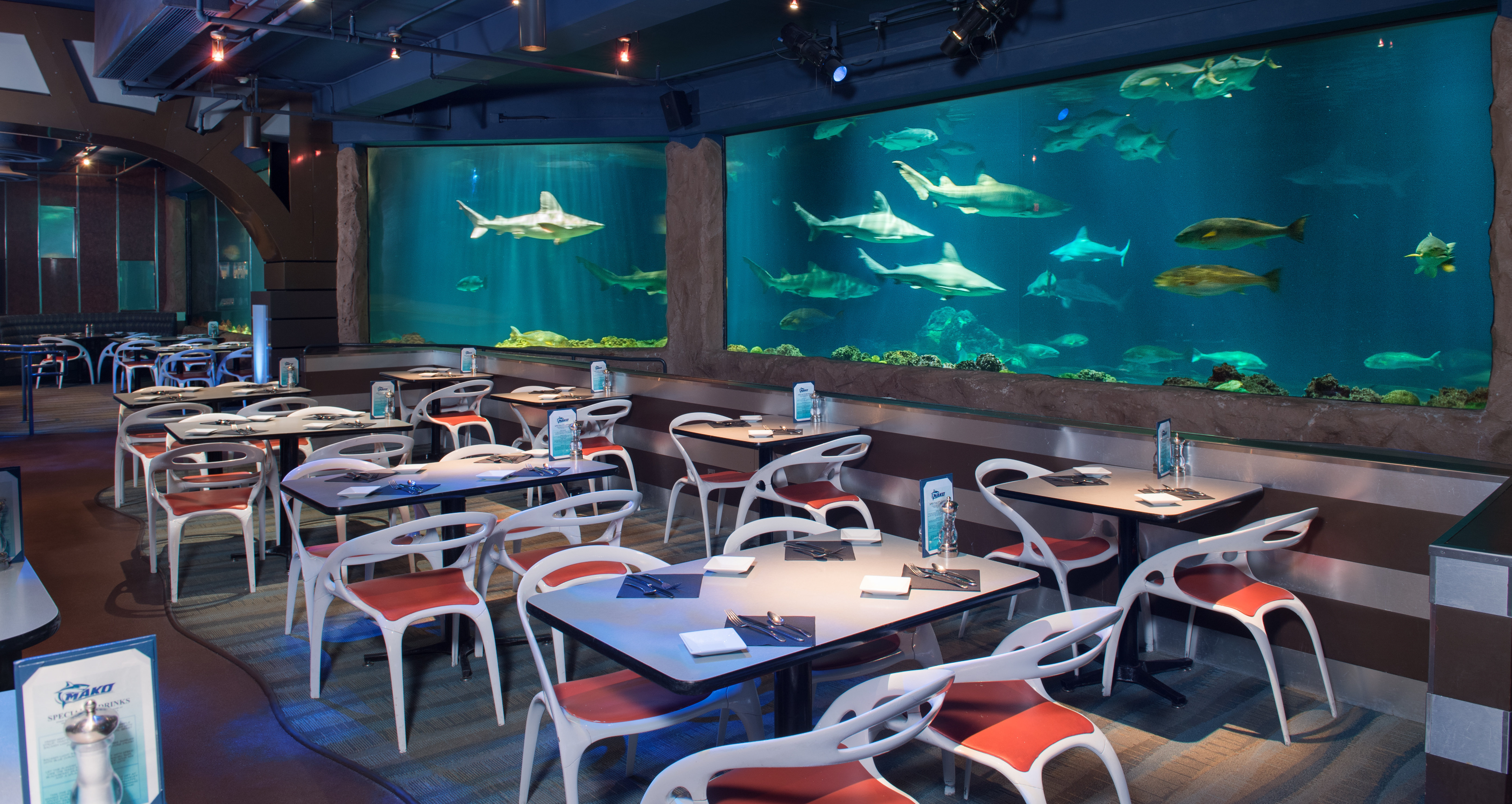 Staybridge Suites Orlando At Seaworld 27/50