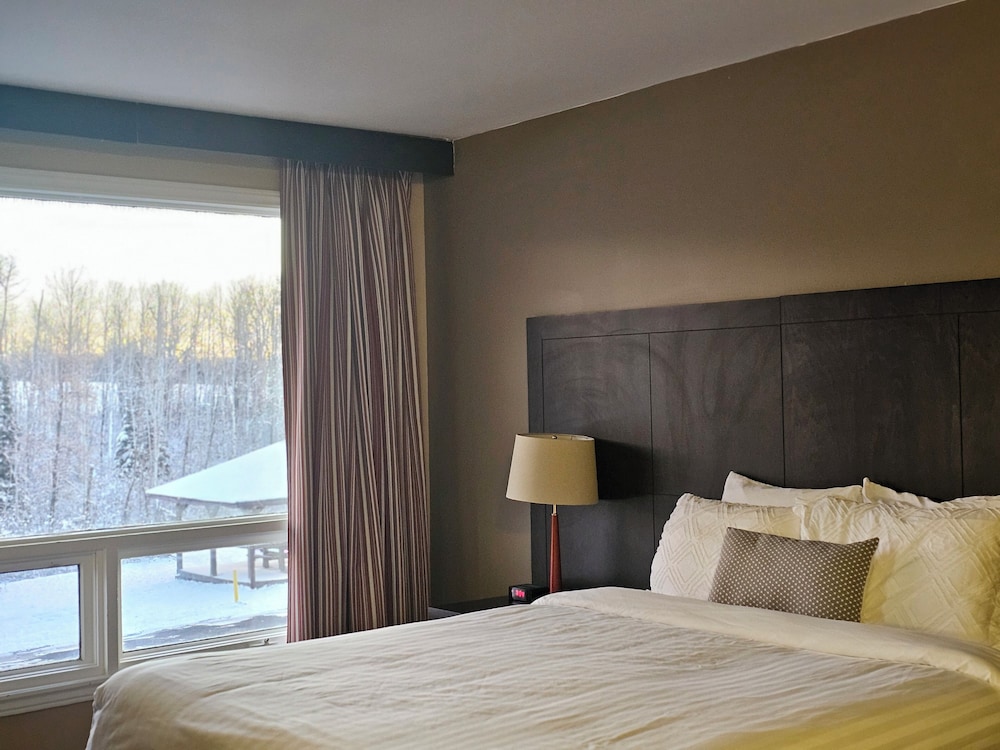 Room, Queen Bed, Pet Friendly