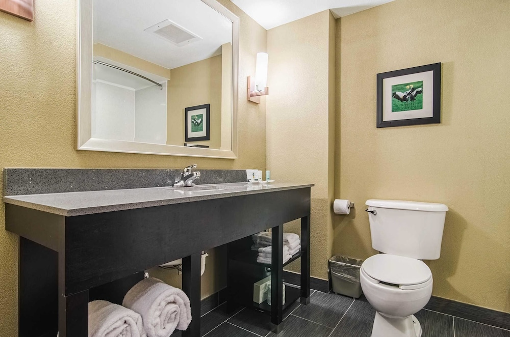 Quality Suites Graham - Burlington South 21/41