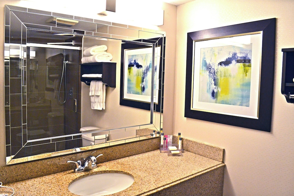 Holiday Inn & Suites Syracuse Airport - Liverpool 76/76