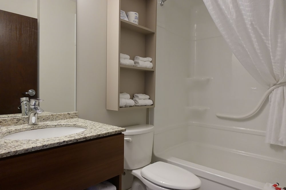 Microtel Inn & Suites By Wyndham Sault Ste. Marie 14/47