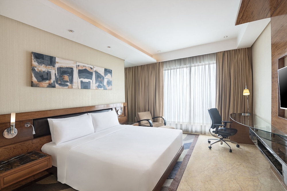 Radisson Blu Hotel Kaushambi Delhi Ncr 19/68