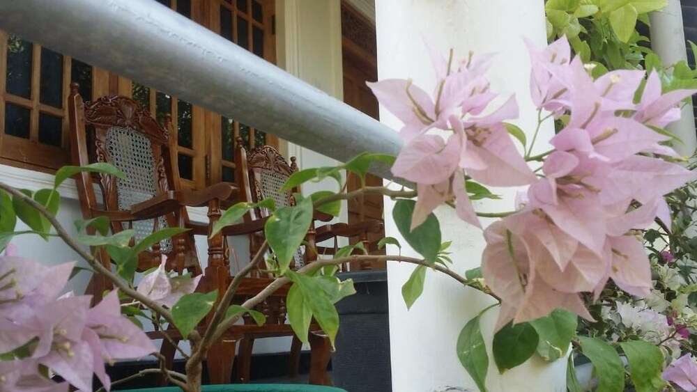 Rich Resort & Restaurant 2/45
