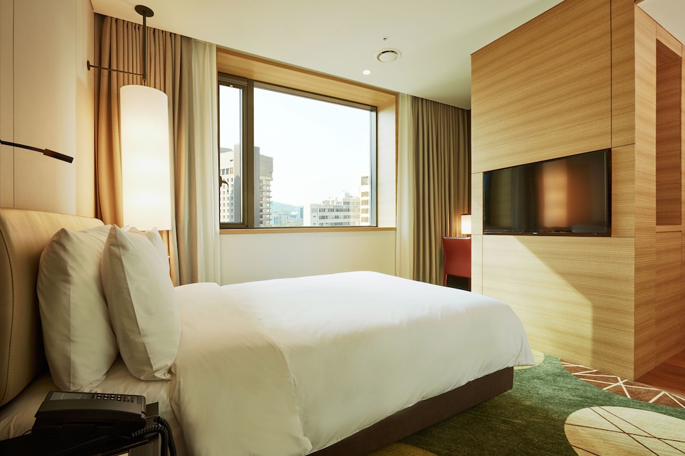 Crown Park Hotel Seoul 18/71