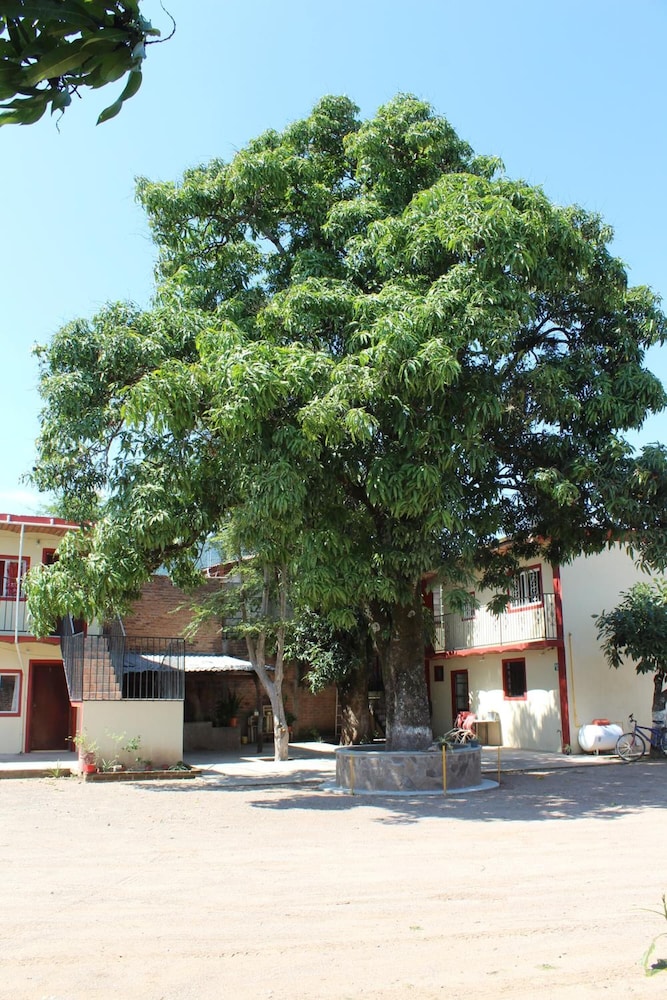 Meson La Huerta 28/30
