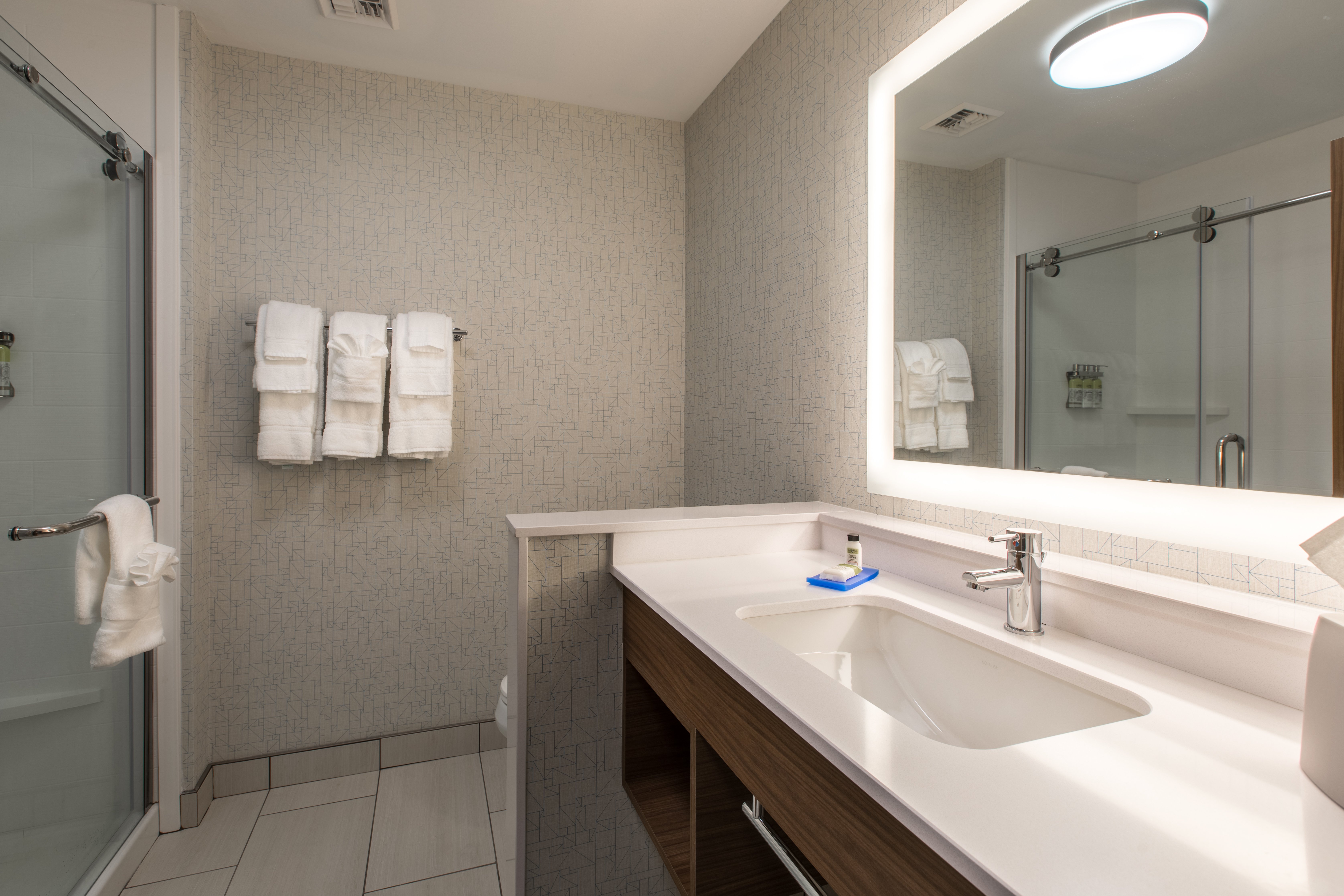 Holiday Inn Express Suites Greenville S Piedmont 73/81