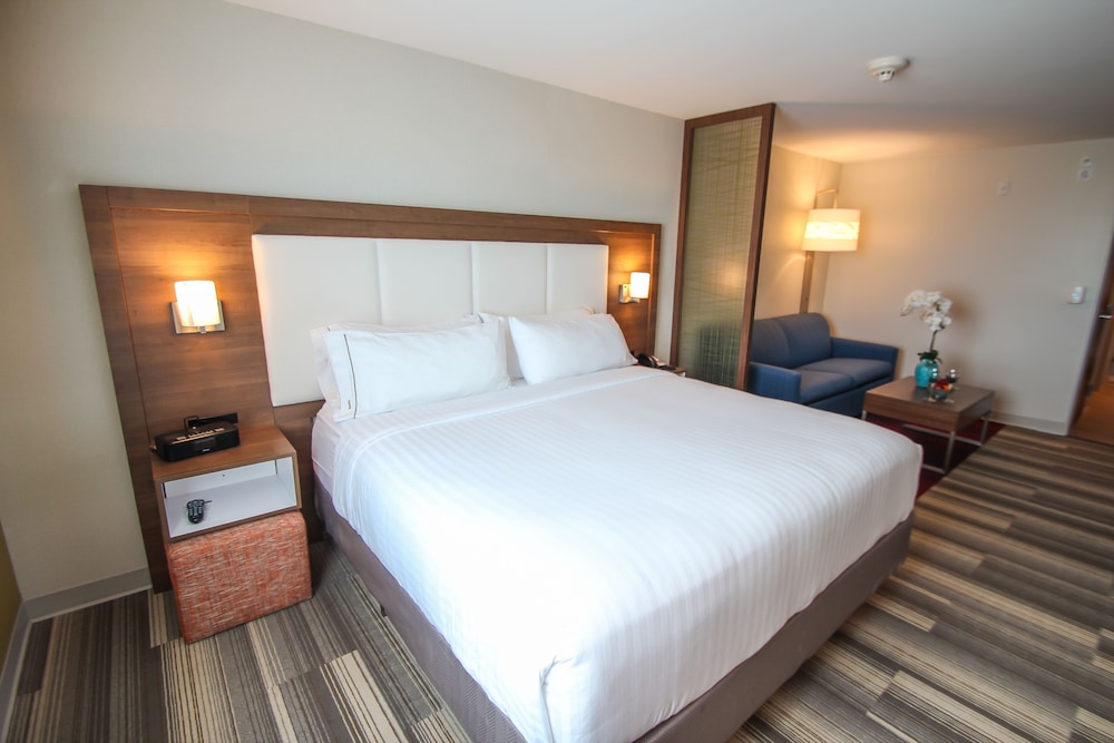 SUITE, KING BED, SOFA, LIVING AREA
